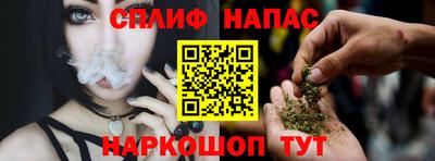 крисы Новоалександровск
