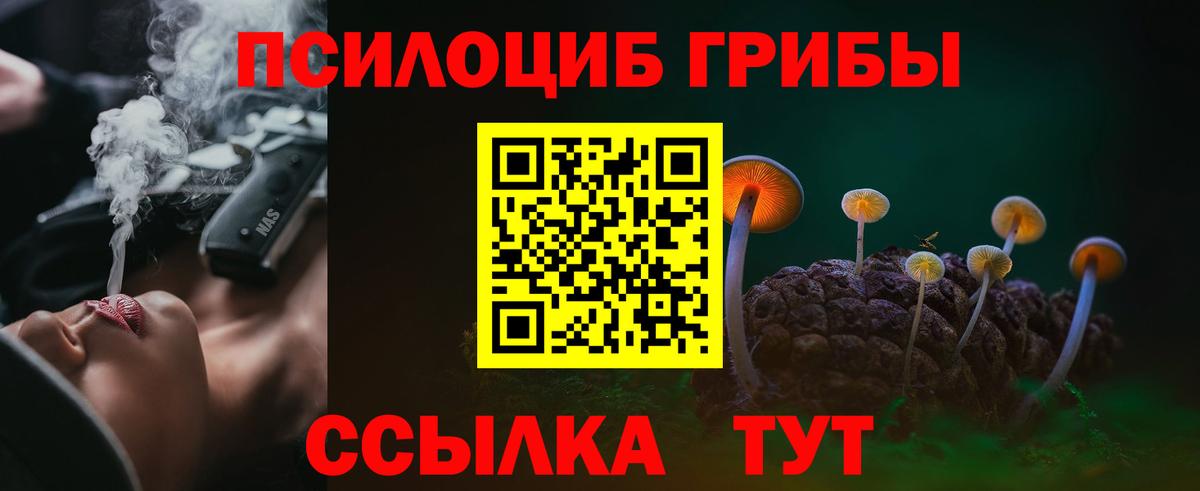 Псилоцибиновые грибы GOLDEN TEACHER Рославль