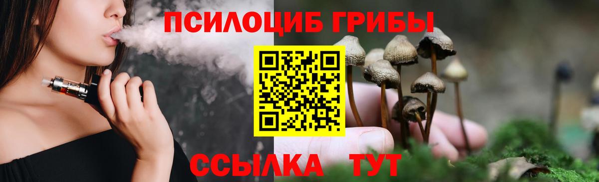 Псилоцибиновые грибы MAGIC MUSHROOMS Рославль